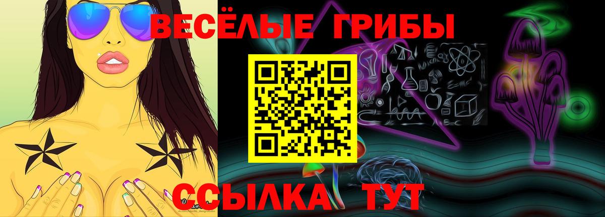 Галлюциногенные грибы MAGIC MUSHROOMS Камышин